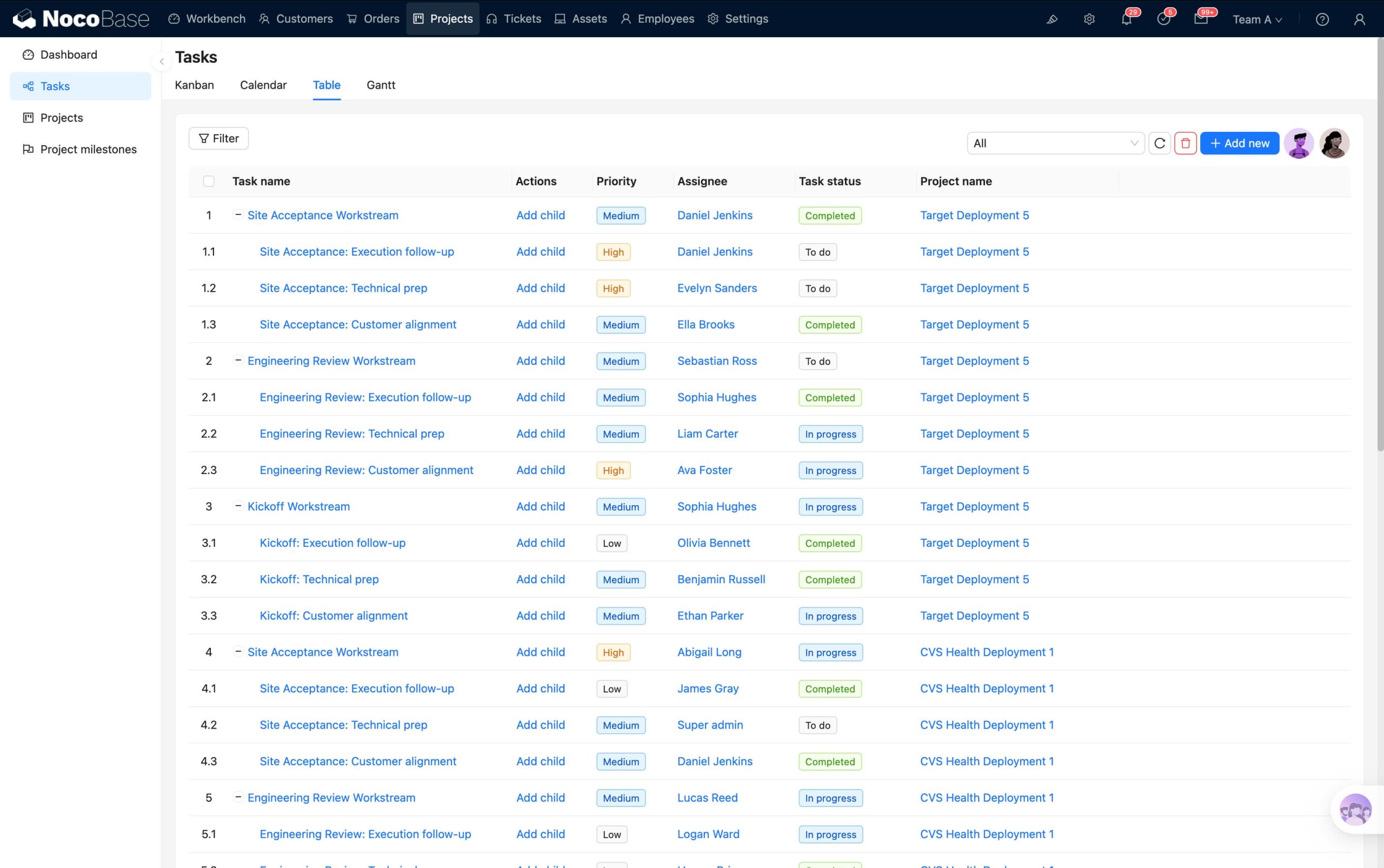 NocoBase项目管理系统界面